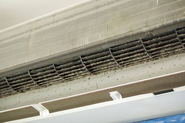 Best Ductwork Cleaning Services  in La Paloma, TX
